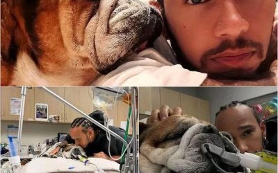 F1 : Quand Lewis Hamilton annule une course pour rester avec son chien