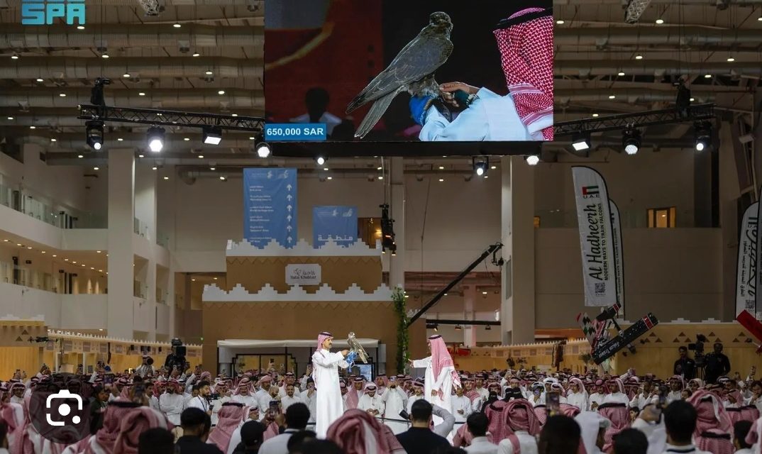 Arabie-Saoudite : Le salon international saoudien de la fauconnerie réunit plus 700 000 visiteurs à Riyad